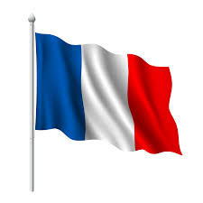 french flag 2.jpg