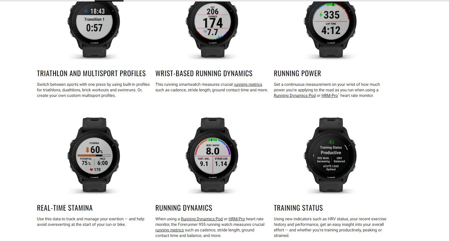 Garmin Forerunner 955 New Zealand Sailing Ltd