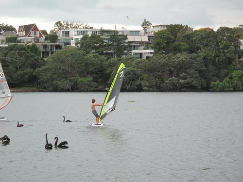 4.5 Sail at Lake Pupuke 4