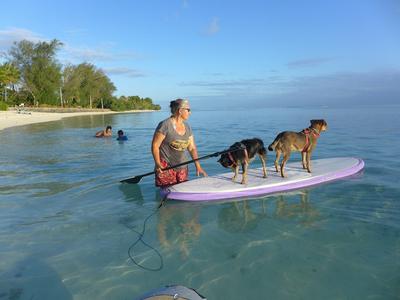 Rarotonga 2