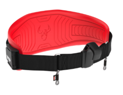 WIP Wing Belt V3.0