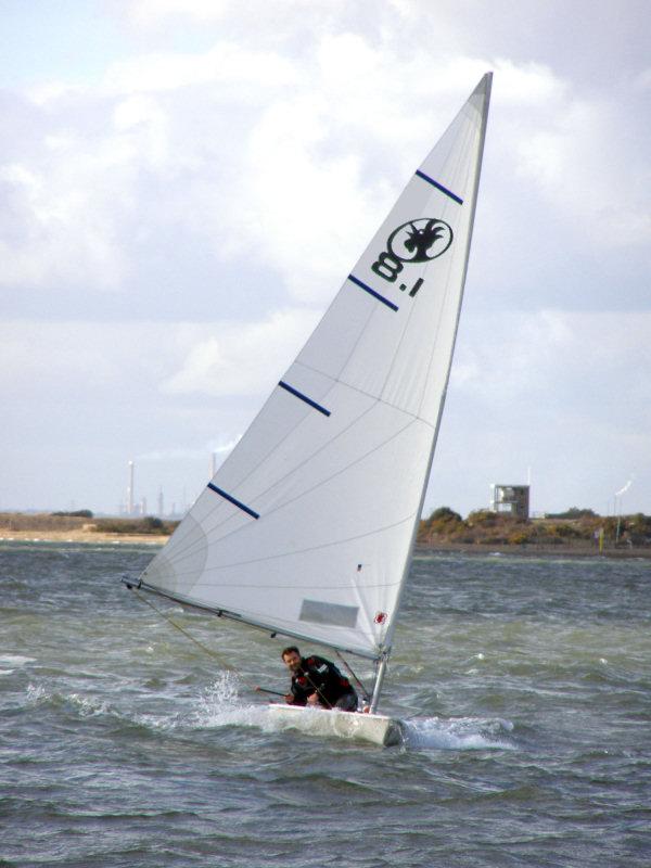 2007rooster81_2